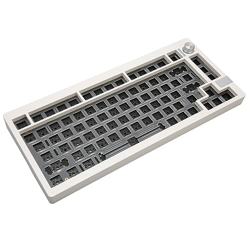 Bewinner Modulare Mechanische RGB Tastatur Zum Selbermachen, 81 Tasten, Hot Swap fähiger 3 Pin/5 Pin Schalter, Programmierbares 2,4 G Wireless Bluetooth 5.0 USB C Kabel, Individuelles von Bewinner