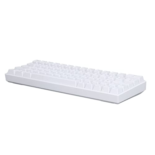 Bewinner Weiße Mechanische Gaming Tastatur, Kompakte 64 Tasten Tastatur, RGB 2.4G Wireless Tastatur, Kabelgebundene USB C Gaming Tastatur für IOS (Blauer Schalter) von Bewinner