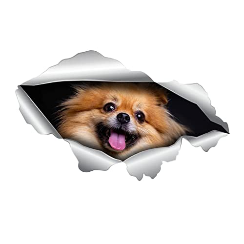 Bexdug Hund knacken Autoaufkleber | Lustiger Hundekopf im Riss Vinyl-Autoaufkleber - Realistische Tier-Aufkleber, Haustier-Vinyl, statischer Aufkleber, Glas-Heimdekoration von Bexdug