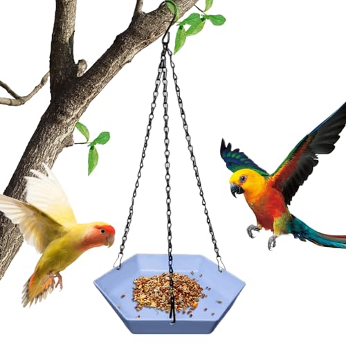 Bexdug Kleines Vogelbad - Mehreckiger Wildvogel-Futterspender,Hängbare Wasserschale Gartendekoration Für Fenster Terrasse Innenbereich Park Balkon Und Familien Bexdug Kleines Vogelbad - Mehreckiger Wildvogel-Futterspender,Hängbare Wasserschale Gartendekoration Für Fenster Terrasse Innenbereich Park Balkon Und Familien von Bexdug