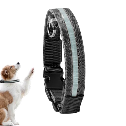 Bexdug Leuchtendes Hundehalsband - Blinkendes, leuchtendes LED-Halsband für Hunde | Tragbares, im Dunkeln leuchtendes Hundesicherheitshalsband für mittelgroße Welpen und Haustiere von Bexdug