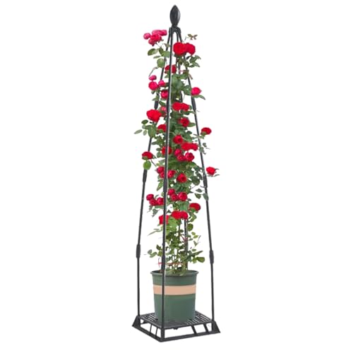 Bexdug Rankgitter für Kletterpflanzen im Garten | Metall Rankhilfe,Rostfreies Rahmengestell Als Rankhilfe Für Topfpflanzen Gewächshaus Balkon Terrasse Bexdug Rankgitter für Kletterpflanzen im Garten | Metall Rankhilfe,Rostfreies Rahmengestell Als Rankhilfe Für Topfpflanzen Gewächshaus Balkon Terrasse von Bexdug