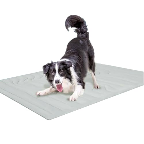Hunde-Eismatte – doppelseitige Kühlmatte für Hunde, atmungsaktiv, maschinenwaschbar, für Kiste, Outdoor, Bett, Innenbereich, Autositze Hunde-Eismatte – doppelseitige Kühlmatte für Hunde, atmungsaktiv, maschinenwaschbar, für Kiste, Outdoor, Bett, Innenbereich, Autositze von Bexdug