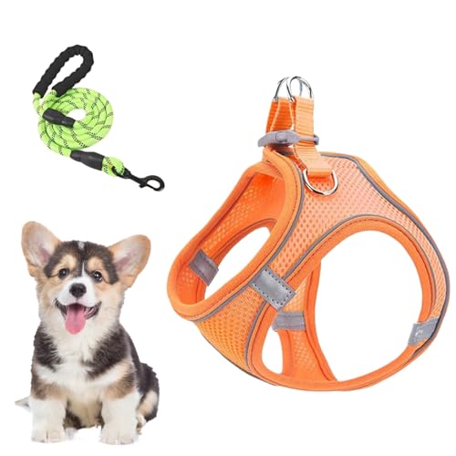 Katzengeschirr und Leinenset, Mesh Geschirr und Hundeleinen Kombination, Atmungsaktives Reflektierendes Welpen Katzen Geschirr Für Training Auto Reisen Wandern Katzengeschirr und Leinenset, Mesh Geschirr und Hundeleinen Kombination, Atmungsaktives Reflektierendes Welpen Katzen Geschirr Für Training Auto Reisen Wandern von Bexdug