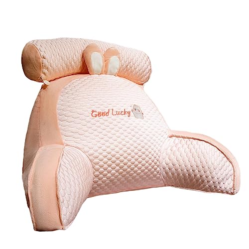 Waist Support Pillows Cute | Reading Pillow | 2-in-1 Iced Bean Reading Pillow Bed Cushion with Detachable Neck Pillow | Multi-Functional Backrest Sofa Pillow Washable Bed Reading Pillow von Bexdug