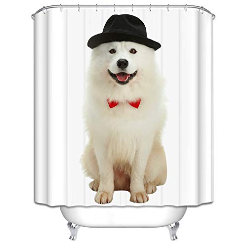 Beydodo Badvorhang Anti-Schimmel Samojede Hund mit Schwarz Hut Badezimmer Duschvorhang 180x200CM von Beydodo
