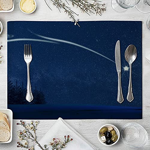 Beydodo Platzdeckchen Weihnachten Baumwolle, Tischsets Abwaschbar 32x42CM 4er Set Meteor Nacht Platzset rutschfest für Esstisch Holztisch von Beydodo