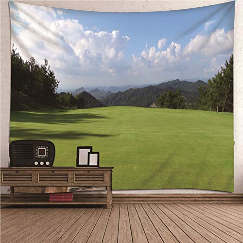 Beydodo Tapisserie Vintage Wandbehang Psychedelisch 240x220CM Wandteppich Schlafzimmer Wiese Berg Himmel von Beydodo