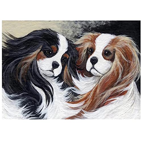 DIY 5D Diamant Malerei Set, Cavalier King Charles Spaniel Haustier 40x50cm 5D Diamant Painting Bilder Kits,Full DrillDiamant Malerei Crystal Strass Stickerei Kunst für Home Dekoration Wanddekoration DIY 5D Diamant Malerei Set, Cavalier King Charles Spaniel Haustier 40x50cm 5D Diamant Painting Bilder Kits,Full DrillDiamant Malerei Crystal Strass Stickerei Kunst für Home Dekoration Wanddekoration von Bfcoco