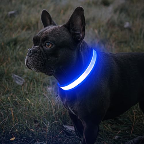 BiPawTi Hundehalsband Leuchtend Aufladbar, 3 Lichtmodi Beleuchtetes LED Sicherheitshalsband für Mittlere Hunde - Leuchtet Im Dunkeln Super Helle Hund Halsband für Nachtspaziergänge/Camping - Blau, M BiPawTi Hundehalsband Leuchtend Aufladbar, 3 Lichtmodi Beleuchtetes LED Sicherheitshalsband für Mittlere Hunde - Leuchtet Im Dunkeln Super Helle Hund Halsband für Nachtspaziergänge/Camping - Blau, M von BiPawTi