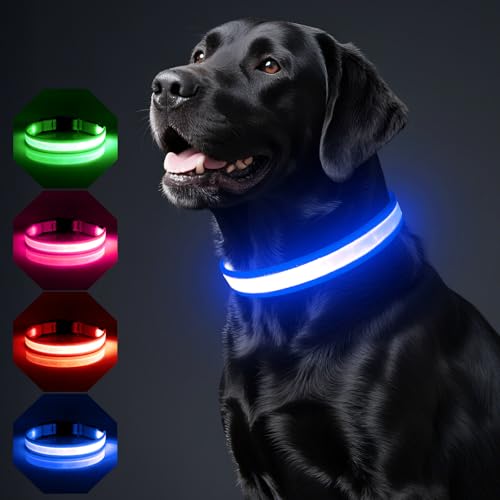 BiPawTi Hundehalsband Kleine Hunde, Wiederaufladbares LED Welpenhalsband mit 3 Beleuchtungsmodi, Super Helle Leuchtendes Halsband, Hunde Leuchthalsband Sicherheit für Ihren Hund in der Nacht - Blau, S BiPawTi Hundehalsband Kleine Hunde, Wiederaufladbares LED Welpenhalsband mit 3 Beleuchtungsmodi, Super Helle Leuchtendes Halsband, Hunde Leuchthalsband Sicherheit für Ihren Hund in der Nacht - Blau, S von BiPawTi
