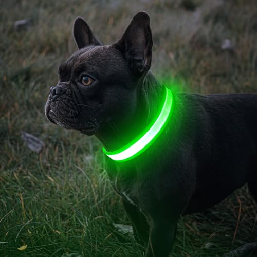 BiPawTi Beleuchtetes LED Hundehalsband Groß, Aufladbar Mit 3 Lichtmodi, Super Hell Leuchtet Im Dunkeln für Nachtspaziergänge - Grün, L BiPawTi Beleuchtetes LED Hundehalsband Groß, Aufladbar Mit 3 Lichtmodi, Super Hell Leuchtet Im Dunkeln für Nachtspaziergänge - Grün, L von BiPawTi