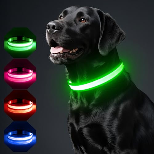 BiPawTi LED Halsband für Mittlere Hunde, Aufladbar Leuchtband Hundehalsband mit 3 Lichtmodi - Leuchtet Im Dunkeln Leuchthalsband Hunde, Leuchtendes Halsband fürs Nachtspaziergänge/Camping - Grün, M BiPawTi LED Halsband für Mittlere Hunde, Aufladbar Leuchtband Hundehalsband mit 3 Lichtmodi - Leuchtet Im Dunkeln Leuchthalsband Hunde, Leuchtendes Halsband fürs Nachtspaziergänge/Camping - Grün, M von BiPawTi