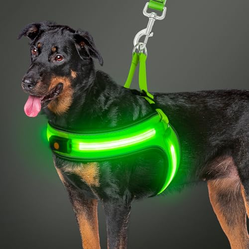 BiPawTi LED Hundegeschirr Leuchtend für Hunde,Aufladbar Leuchtgeschirr Hundeweste mit 3 Lichtmodi,Leuchtet Im Dunkeln Leuchtendes Geschirr Hund Groß, Praktisch Zubehör fürs Camping mit Hund, Grünlicht von BiPawTi