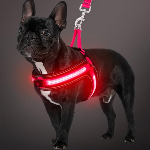 BiPawTi LED Brustgeschirr Hund Mittel, Wiederaufladbares Leuchtgeschirr Hundeweste mit 3 Lichtmodi - Leuchtet Im Dunkeln - Praktisch Zubehör fürs Camping mit Hund - Leuchtendes Hundegeschirr Rotlicht von BiPawTi
