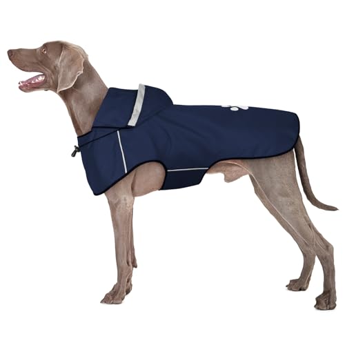 BiPawTi Regenjacke Hund Wasserdicht für Große Hunde, Hund Regenmantel mit Reflektierenden Kapuze & Klettverschluss - Ultraleicht Hunderegenmantel Regenjacken für Hunde Sichere Gassigänge (XL | Blau) BiPawTi Regenjacke Hund Wasserdicht für Große Hunde, Hund Regenmantel mit Reflektierenden Kapuze & Klettverschluss - Ultraleicht Hunderegenmantel Regenjacken für Hunde Sichere Gassigänge (XL | Blau) von BiPawTi
