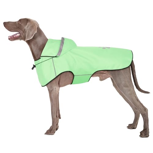 BiPawTi Regenjacke Hund Wasserdicht für Große Hunde – Verstellbarer Hund Regenmantel mit Reflektierenden Kapuze, Ultraleicht Bequem Hunderegenmantel für Trockene, Sichere Gassigänge (XL | Mint) BiPawTi Regenjacke Hund Wasserdicht für Große Hunde – Verstellbarer Hund Regenmantel mit Reflektierenden Kapuze, Ultraleicht Bequem Hunderegenmantel für Trockene, Sichere Gassigänge (XL | Mint) von BiPawTi
