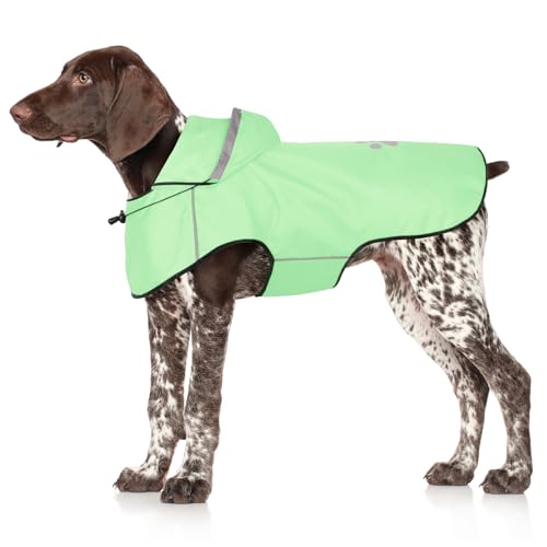 BiPawTi Hunderegenmantel Wasserdicht für Hunde, Reflektierenden Hunde-Regenjacken für Große Hund, Hundekleidung mit Verstellbarer Kapuze & Klettverschluss, Hund Regenmantel für Spaziergänge (L | Mint) BiPawTi Hunderegenmantel Wasserdicht für Hunde, Reflektierenden Hunde-Regenjacken für Große Hund, Hundekleidung mit Verstellbarer Kapuze & Klettverschluss, Hund Regenmantel für Spaziergänge (L | Mint) von BiPawTi