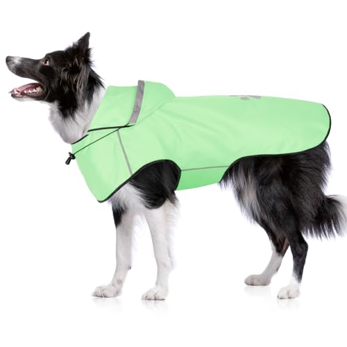BiPawTi Verstellbar Regenmantel Hund Wasserdicht – Hunde-Regenjacke Reflektierenden Kapuze mit Verstellbarer Kordelzug, Ultraleicht Bequem Hunderegenmantel für Trockene, Sichere Gassigänge (M | Mint) BiPawTi Verstellbar Regenmantel Hund Wasserdicht – Hunde-Regenjacke Reflektierenden Kapuze mit Verstellbarer Kordelzug, Ultraleicht Bequem Hunderegenmantel für Trockene, Sichere Gassigänge (M | Mint) von BiPawTi