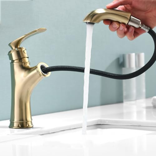 BiaoTeng Waschtischarmatur Ausziehbar mit Brause Warm und Kalt Einhebelmischer Waschtisch Armatur mit Ausziehbarer Brause Badezimmer Gold Gebürstet BiaoTeng Waschtischarmatur Ausziehbar mit Brause Warm und Kalt Einhebelmischer Waschtisch Armatur mit Ausziehbarer Brause Badezimmer Gold Gebürstet von BiaoTeng
