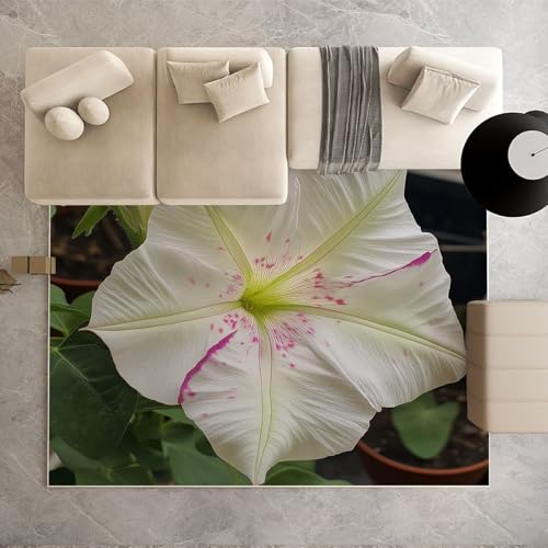 Biauyaii Blühen Prunkwinde Weiß Teppich Kinderzimmer Waschbarer rutschfest Rug Blumenmuster Teppich Weiche Kurzflor 100 x 160 cm Carpet für Wohnzimmer Schlafzimmer Bürostuhl Küche Biauyaii Blühen Prunkwinde Weiß Teppich Kinderzimmer Waschbarer rutschfest Rug Blumenmuster Teppich Weiche Kurzflor 100 x 160 cm Carpet für Wohnzimmer Schlafzimmer Bürostuhl Küche von Biauyaii