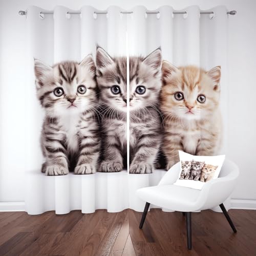Biauyaii Kawaii Orange Katze Vorhänge Blickdicht Hitzeschutz Getigerte Katzen Gardinen Thermovorhang mit Ösen 145x140 cm (2er Pack) Verdunklungsvorhänge Wohnzimmer Schlafzimmer von Biauyaii