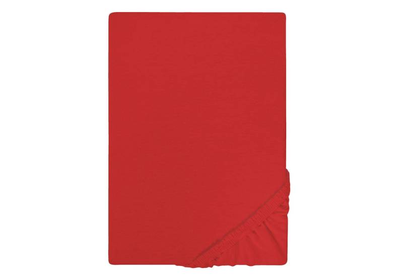 Biberna Spannbettlaken Biberna Jersey Spannbettlaken 135g/m² 140 - 160 x 200 cm, Jersey (Single-Jersey), feinfädig & dicht gewirkt, Gummizug: ja, (1 Stück) von Biberna