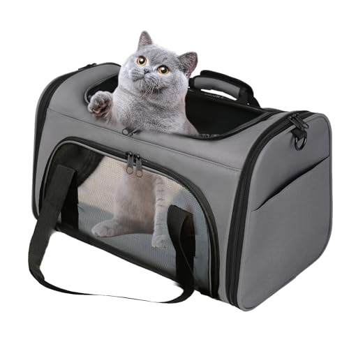 Bibykivn Transporttasche für Katze Hund, Katzentransportbox, Faltbar Hundetasche Transporttasche mit Kissen,Katzen Transportboxen mit Verstellbarem Schultergurt für Kleine Hunde von 15 Pfund… von Bibykivn