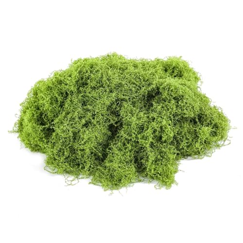 Bieiyhe 100g Bastelmoos Natur,Konserviertes Moos Deko,Kunstmoos zum Basteln,Islandmoos Fake,Getrocknetes Moos,Kunstmoos zum Dekorieren, Trockenmoos,Bastel Moos Konserviert, Künstliches Moosbild Bieiyhe 100g Bastelmoos Natur,Konserviertes Moos Deko,Kunstmoos zum Basteln,Islandmoos Fake,Getrocknetes Moos,Kunstmoos zum Dekorieren, Trockenmoos,Bastel Moos Konserviert, Künstliches Moosbild von Bieiyhe