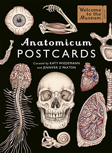 Anatomicum Postcard Box von BONNIER