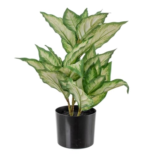 BigBuy Home Dekorative Pflanze Polyethylen PEVA Dieffenbachia 42 x 42 x 52 cm von BigBuy Home