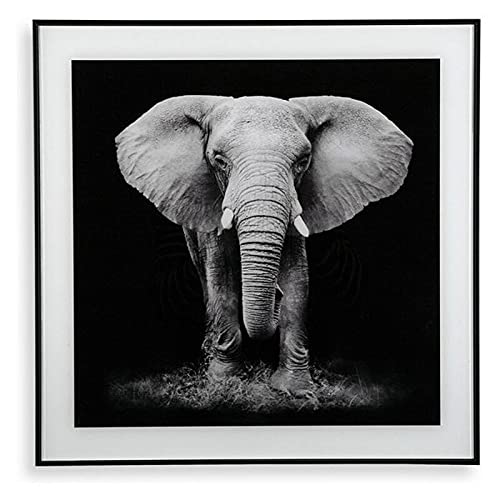 BigBuy Home S3403596 Bilder, Elefant, 2 x 50 x 50 cm von BigBuy Home