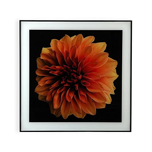 Bild Blume aus Polystyrol (2 x 60 x 40 cm) von BigBuy Home