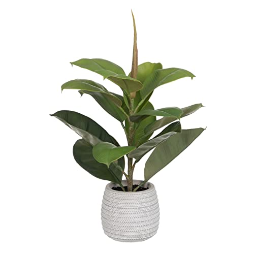 Dekorative Pflanze Grün PVC Eiche 58 cm von BigBuy Home