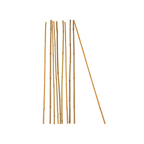 BigDean 10x Pflanzstab Bambusstab 105 cm x 8-10 mm Bambus Rankhilfe Pflanzstab Tonkinstab 100% Naturprodukt Pflanzstäbe Bambusstäbe Bambusstangen BigDean 10x Pflanzstab Bambusstab 105 cm x 8-10 mm Bambus Rankhilfe Pflanzstab Tonkinstab 100% Naturprodukt Pflanzstäbe Bambusstäbe Bambusstangen von BigDean