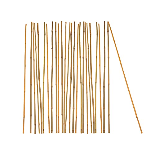 BigDean 25x Pflanzstab Bambusstab 90 cm x 6-8 mm Bambus Rankhilfe Pflanzstab Tonkinstab 100% Naturprodukt Pflanzstäbe Bambusstäbe Bambusstangen von BigDean