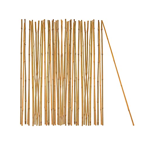 BigDean 50x Pflanzstab Bambusstab 75 cm x 6-8 mm Bambus Rankhilfe Pflanzstab Tonkinstab 100% Naturprodukt Pflanzstäbe Bambusstäbe Bambusstangen von BigDean