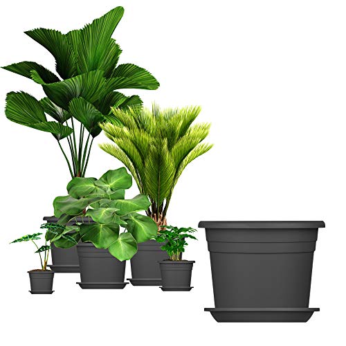 BigDean 5X Blumentopf Ø 35 cm Farbe Anthrazit & Untersetzer Kunststoff Pflanztopf Containertopf Übertopf Pflanzkübel rund 35 x 25 cm Blumentöpfe von BigDean