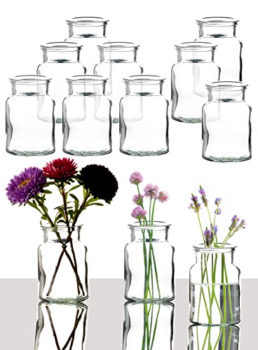 BigDean 12er Set Blumenvase 9x6 cm – Tischvase Glasvase für Blumen und Trockenblumen – Kerzenhalter Dekovase klein - Made in Germany von BigDean