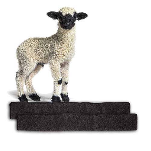 BigDean 2X Zugluftstopper für Türen 100cm - 100% Schurwolle - Anthrazit - Türluftstopper Luftzugstopper Windstopper - Made in Germany von BigDean