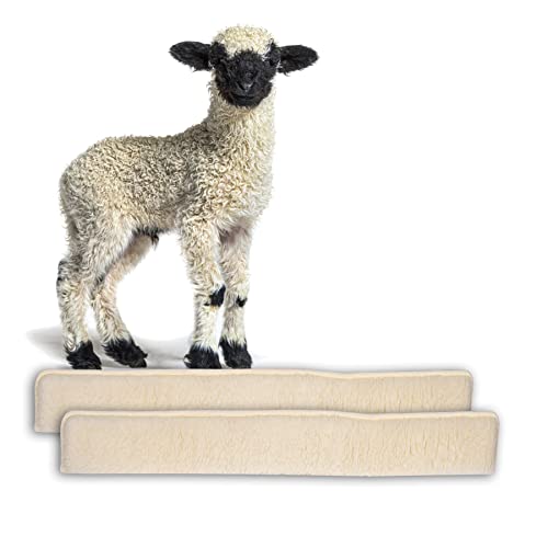 BigDean 2X Zugluftstopper für Türen 100cm - 100% Schurwolle - Beige - Türluftstopper Luftzugstopper Windstopper - Made in Germany BigDean 2X Zugluftstopper für Türen 100cm - 100% Schurwolle - Beige - Türluftstopper Luftzugstopper Windstopper - Made in Germany von BigDean