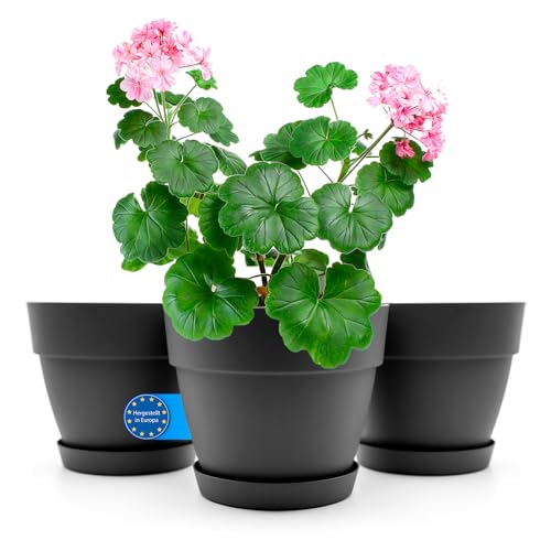 BigDean 3 Stück Blumentopf mit Untersetzer rund ø25 cm in Anthrazit – Übertopf innen + außen geeignet – aus bruchsicherem Kunststoff & Made in Europe von BigDean
