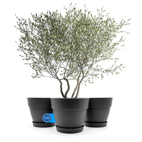 BigDean 3 Stück Blumentopf mit Untersetzer rund ø40 cm in Anthrazit – Übertopf innen + außen geeignet – aus bruchsicherem Kunststoff & Made in Europe von BigDean