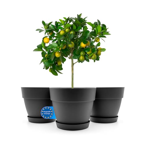 BigDean 3 Stück Blumentopf mit Untersetzer rund ø47 cm in Anthrazit – Übertopf innen + außen geeignet – aus bruchsicherem Kunststoff & Made in Europe von BigDean