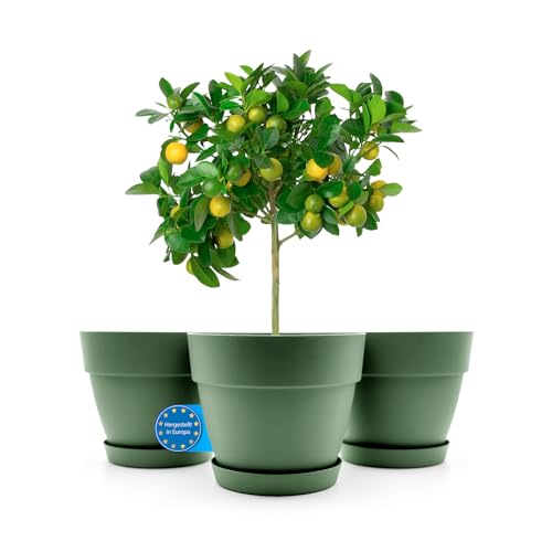 BigDean 3 Stück Blumentopf mit Untersetzer rund ø47 cm in Olivgrün – Übertopf innen + außen geeignet – aus bruchsicherem Kunststoff & Made in Europe von BigDean