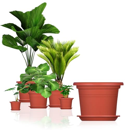 BigDean 3X Blumentopf Ø 35 cm Farbe Terrakotta & Untersetzer Kunststoff Pflanztopf Containertopf Übertopf Pflanzkübel rund 35 x 25 cm Blumentöpfe von BigDean