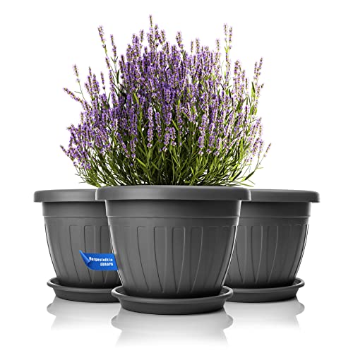 BigDean 3X Blumentopf mit Untersetzer rund ø40xH31 cm anthrazit - wetterfester Pflanzkübel - Wasserablauf UV-beständig aus bruchsicherem Kunststoff - Innen + Außen geeignet - Made in Europe von BigDean