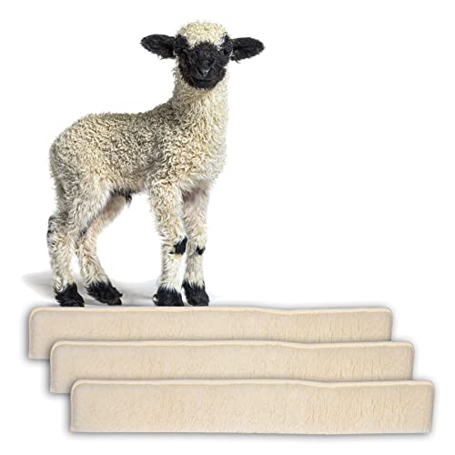 BigDean 3X Zugluftstopper für Türen 100cm - 100% Schurwolle - Beige - Türluftstopper Luftzugstopper Windstopper - Made in Germany BigDean 3X Zugluftstopper für Türen 100cm - 100% Schurwolle - Beige - Türluftstopper Luftzugstopper Windstopper - Made in Germany von BigDean