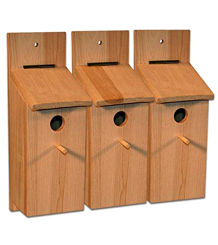 BigDean 3er Set Nistkasten Selbstbauset - 36 x 12 x 14 cm - Vogelhaus Vogelhäuschen Nisthaus Meisenhaus Kleinvögel Meisenkasten Bausatz von BigDean