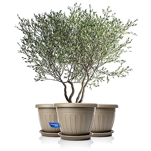 BigDean 3x Blumentopf mit Untersetzer rund ø50xH38 cm Mokka/braun - wetterfester Pflanzkübel - Wasserablauf UV-beständig aus bruchsicherem Kunststoff - Innen + Außen geeignet - Made in Europe von BigDean